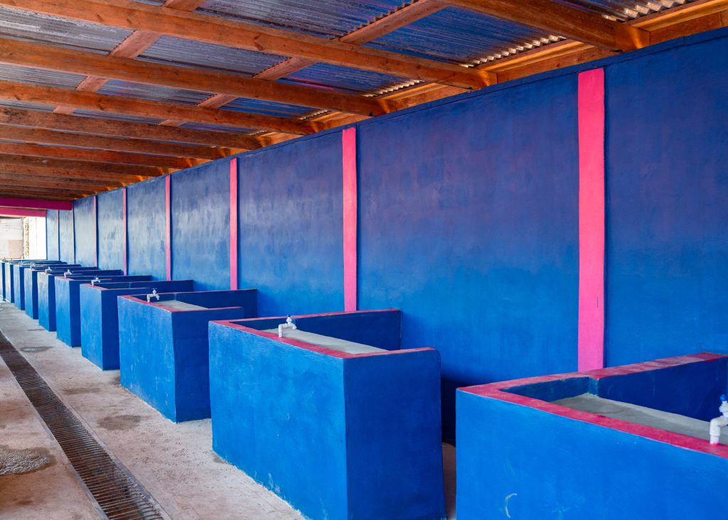 Mercado Bruno Gabriel